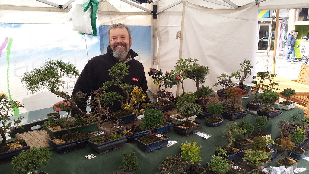 Bonsai Trees Market Place Europe Flickr