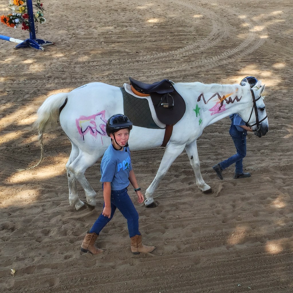 Horse Camp Ponca Hills Farm Shelby L. Bell Flickr