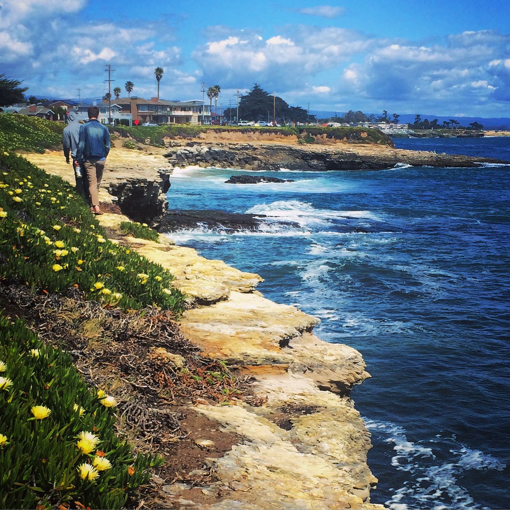 IMG_4403 West Cliff, Santa Cruz Alex Dreiblatt Flickr