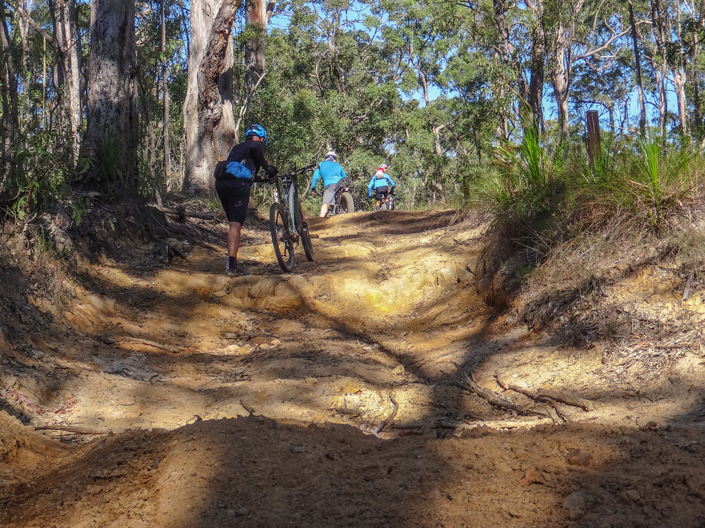 Woodrows Road Riding in the Glasshouse Mountains. Full sto… Flickr