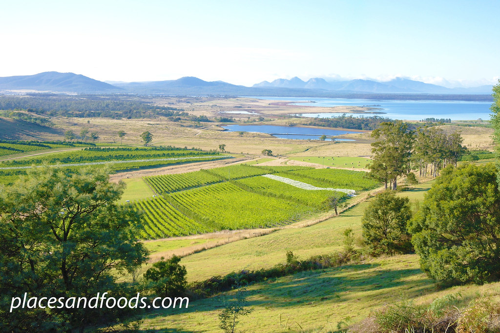 tasmania fresh air swansea Wilson