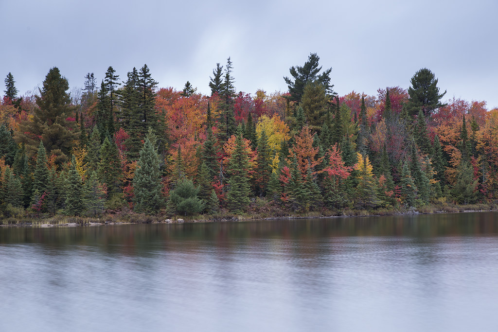 peck lake 2s Fall colours on Peck Lake in Algonquin Andrew Morse