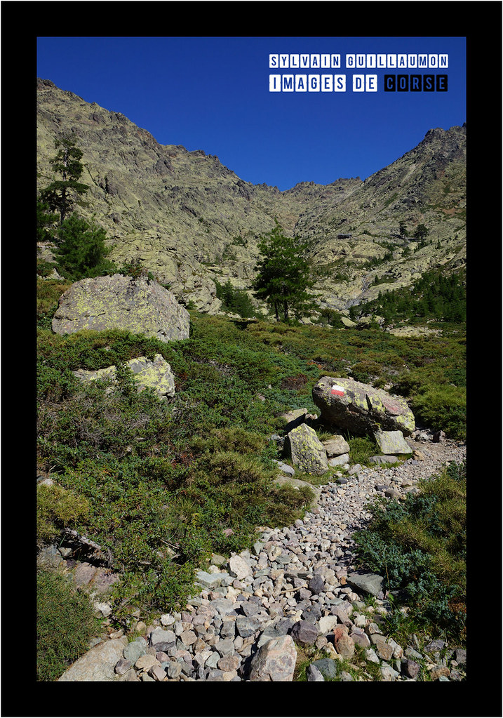 Marque du GR20, à l'approche des Bergeries d'U Vallone (14… Flickr