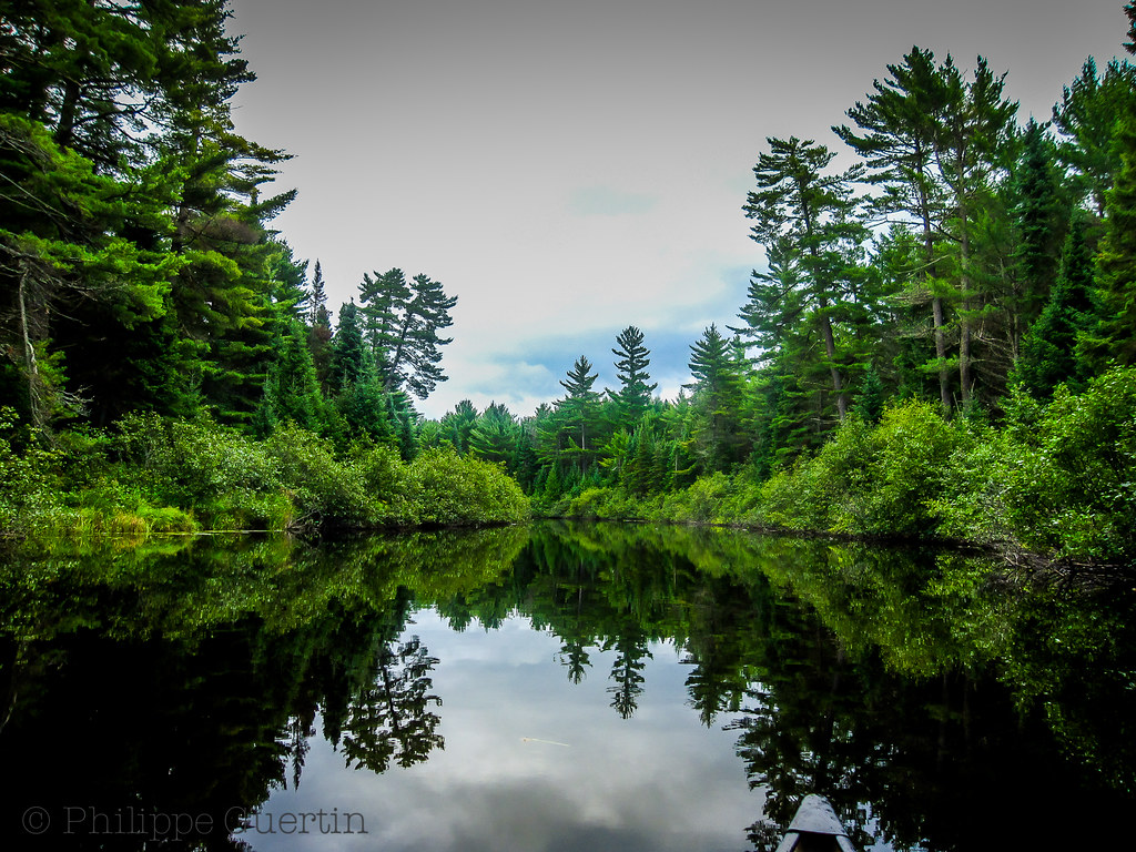 Nipissing River Algonquin Park Phil Guertin Flickr