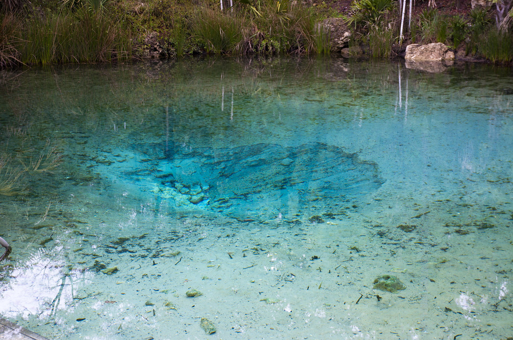 Pitt Spring Econfina Creek Water Management Area, Florid… Flickr