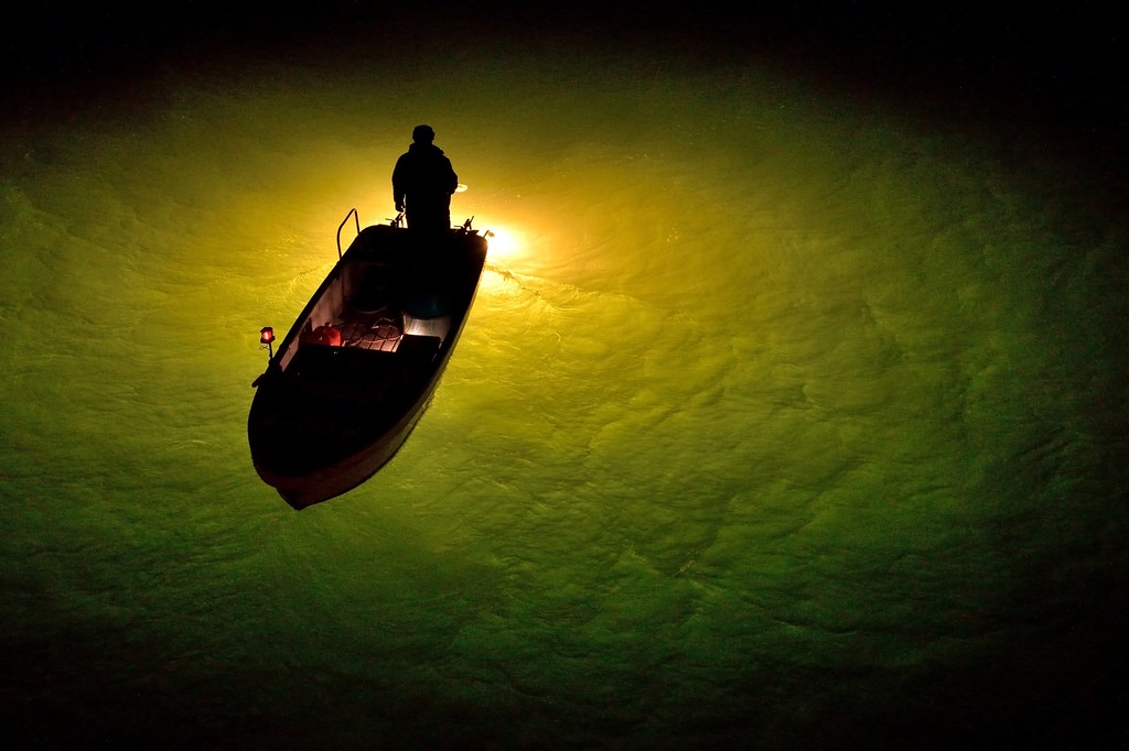 Glass eel fishing2 Glass eel fishing、Tokushima pref. シラスウ… Flickr