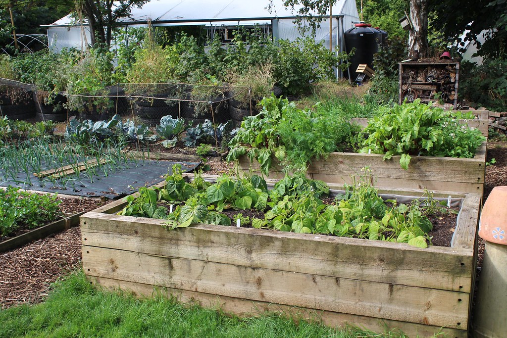 High raised beds for wheelchair access Please credit to L… Flickr