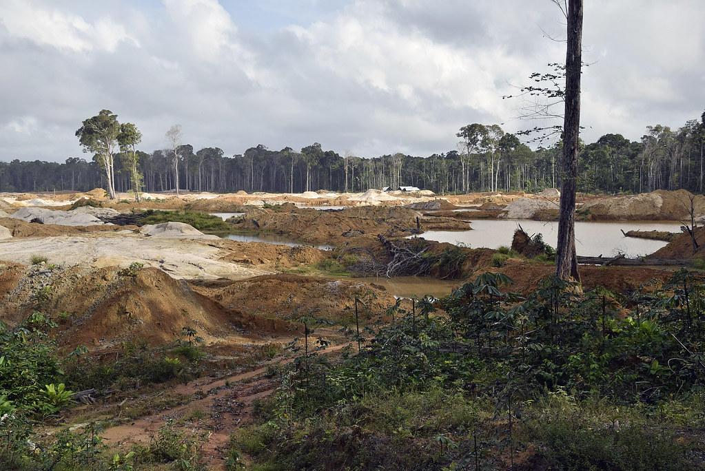 Gold mining near Frenchman's Landing "Treat the earth well… Flickr