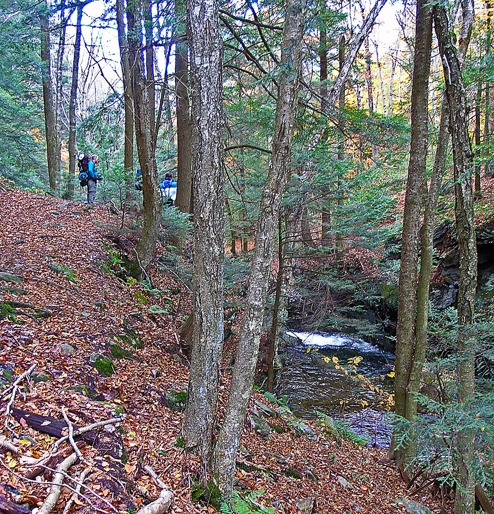 Sage's Ravine In Sage's Ravine where we join the Appalachi… Flickr