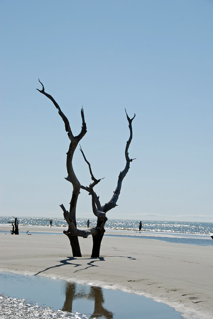 Capers Island, SC Melody McClure Flickr