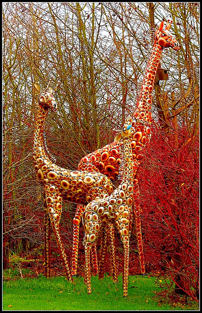unusual garden ornaments Stephen Frost Flickr