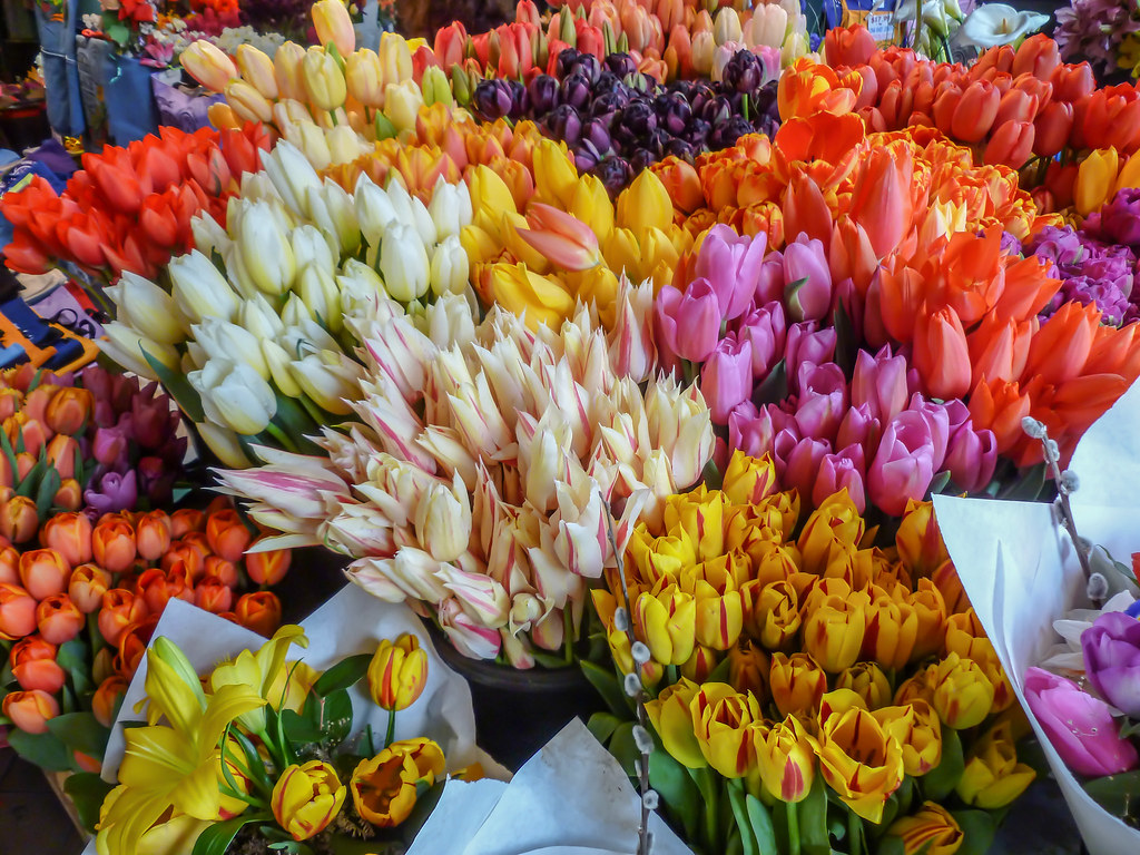 tulips at the market flowers Yuri Levchenko Flickr