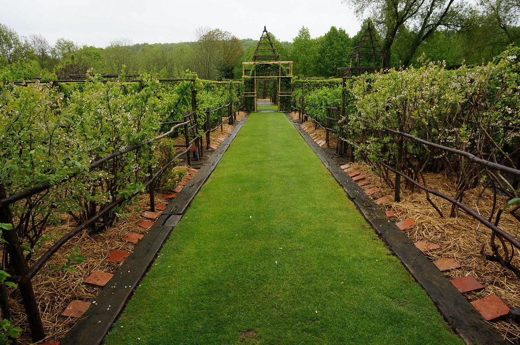 Wooden plant supports for plants (1) Karl Gercens Flickr