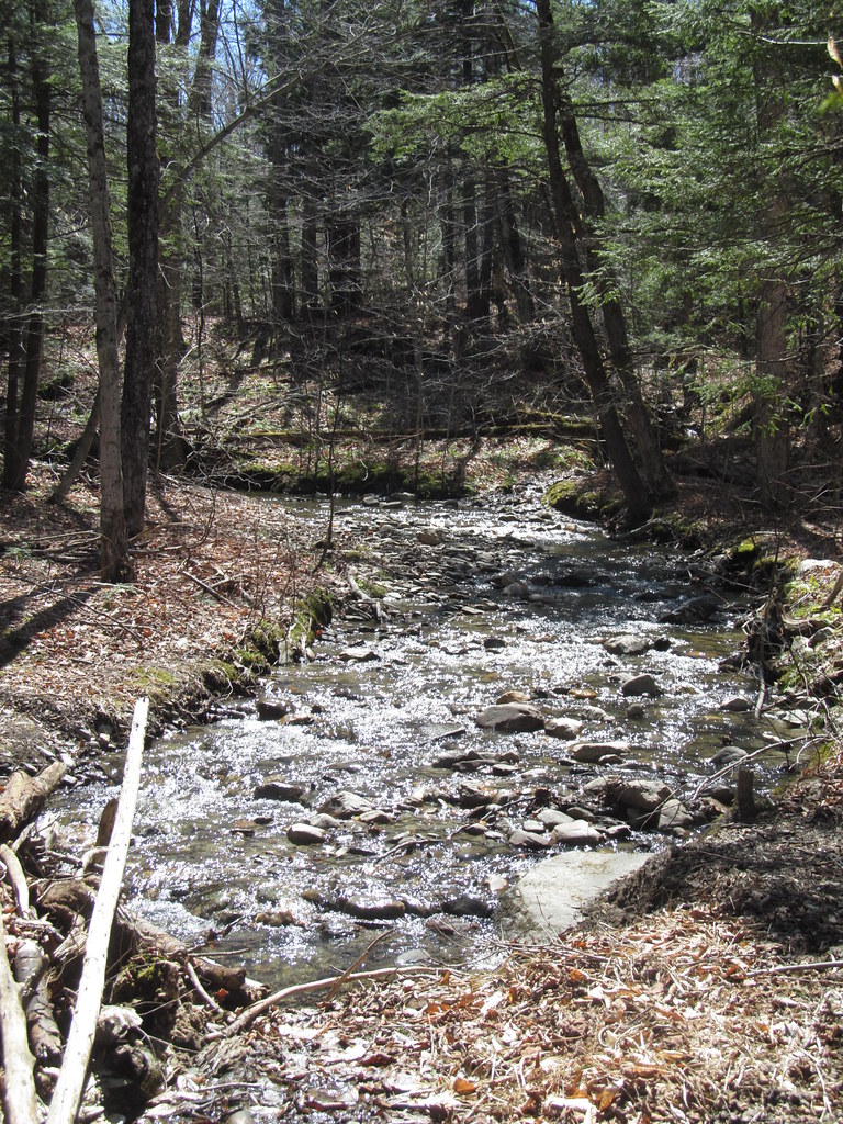Savoy Mountain State Forest Savoy, Massachusetts Flickr