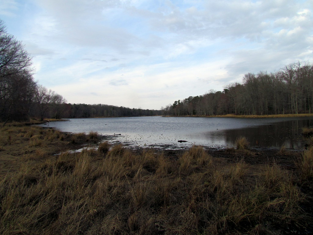 Pond National Wildlife Center Laurel MD 5937 bobistraveling Flickr