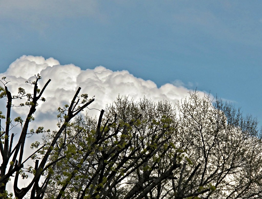 cotton balls aloft Todays' clouds look like cotton balls o… Flickr
