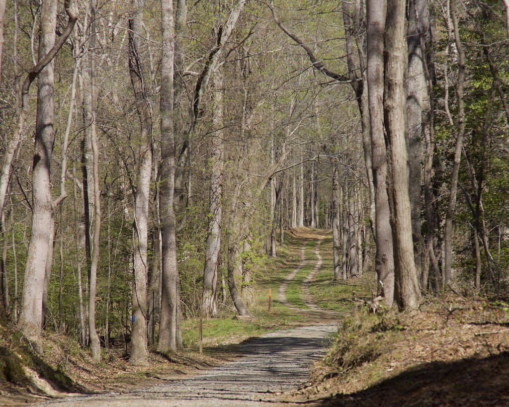 MultiUse Trail 3 Newport News Harwood's Mill Reservoir Bi