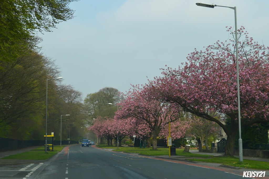 Woolton Road Liverpool. Kev Thomas Flickr