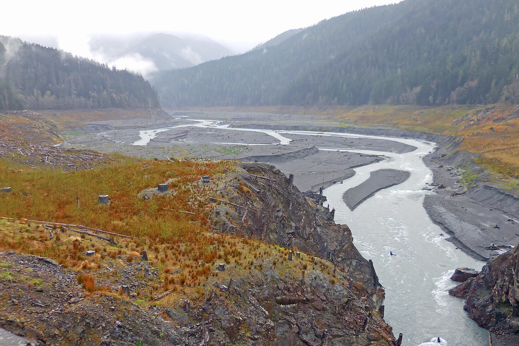 elwha_river_revegetation_npsphoto_Mar15 Olympic National Park Flickr