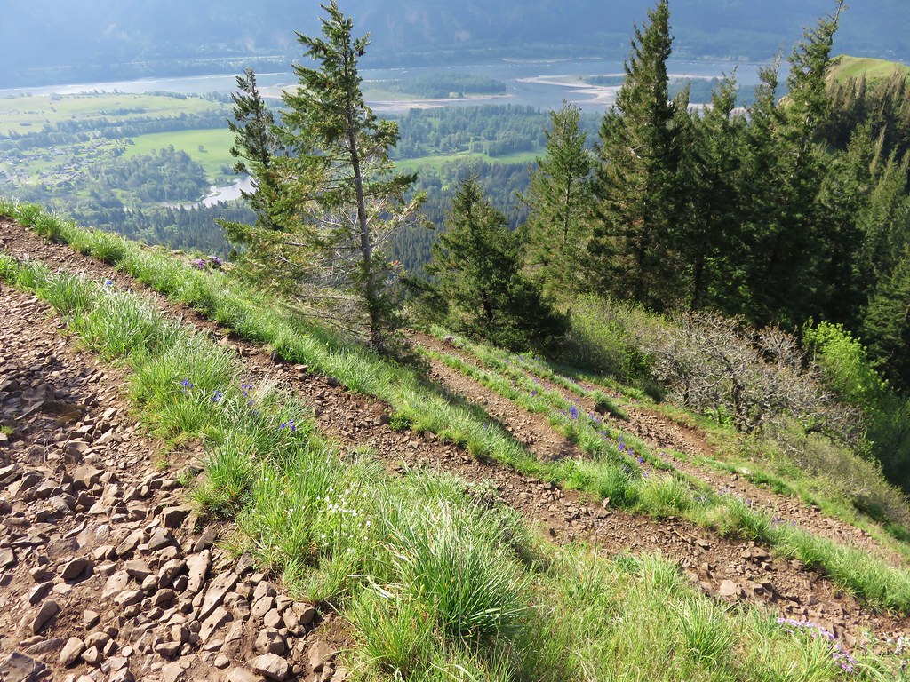 Hamilton Mountain Trail yunckette Flickr