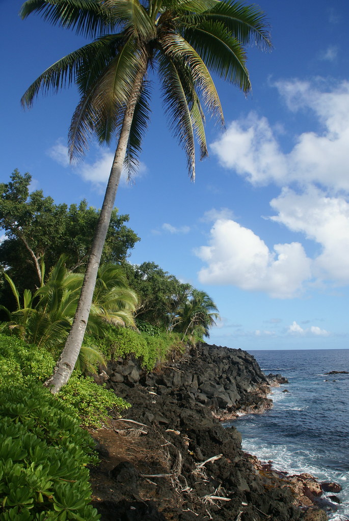 Along KalapanaKapoho Road (dsc07312) David Baron Flickr