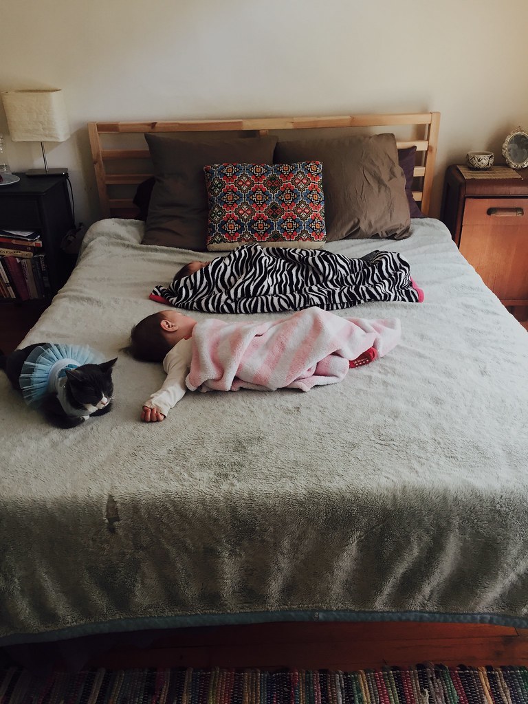 Babies on bed, cat wearing tutu John Schuster Flickr