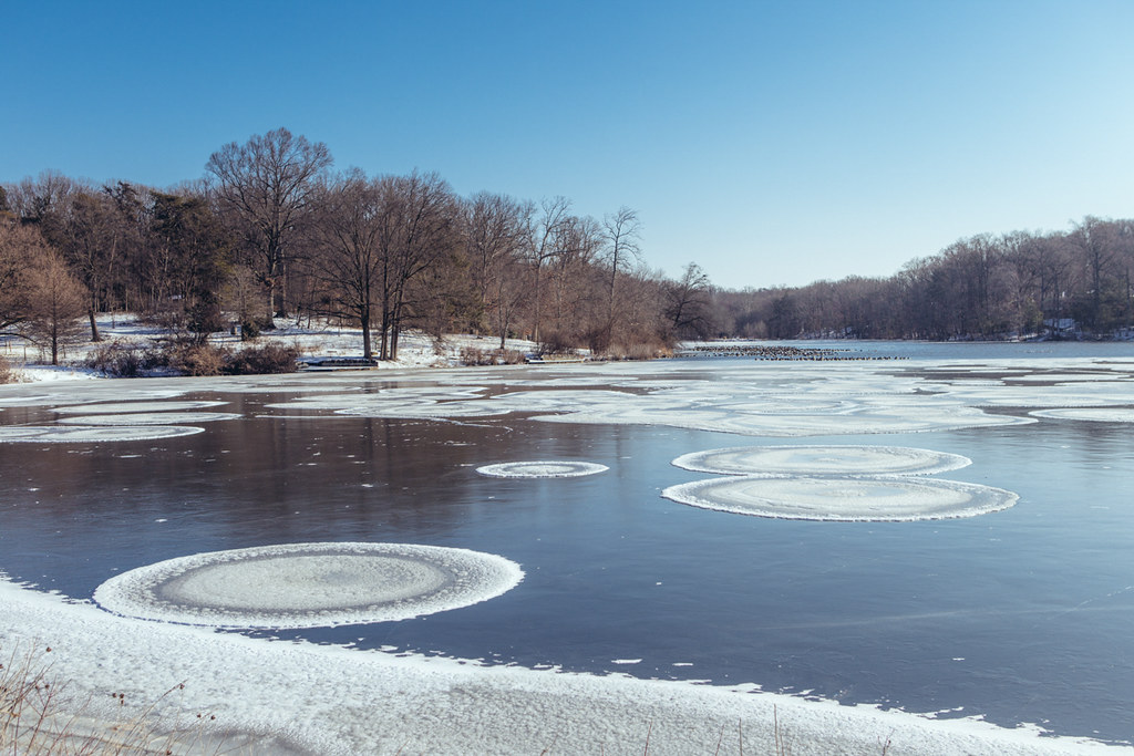 Greenbelt Lake Park Greenbelt, Maryland, US Tony Chen Flickr