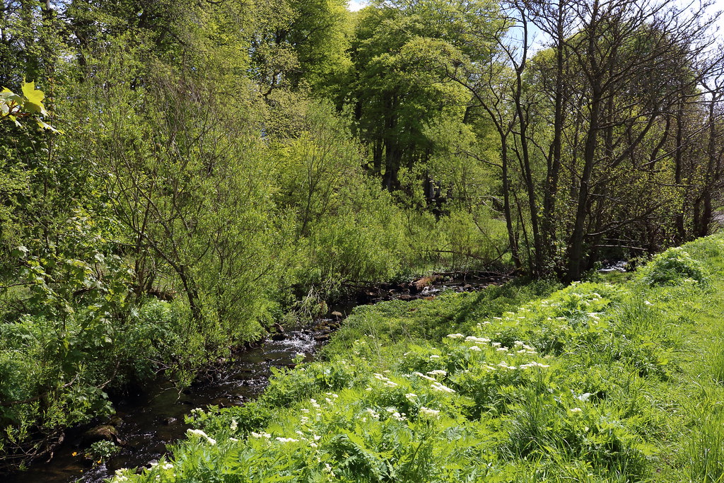Bucks Burn,Howes Road,Bucksburn,Aberdeen Alan Longmuir. Flickr