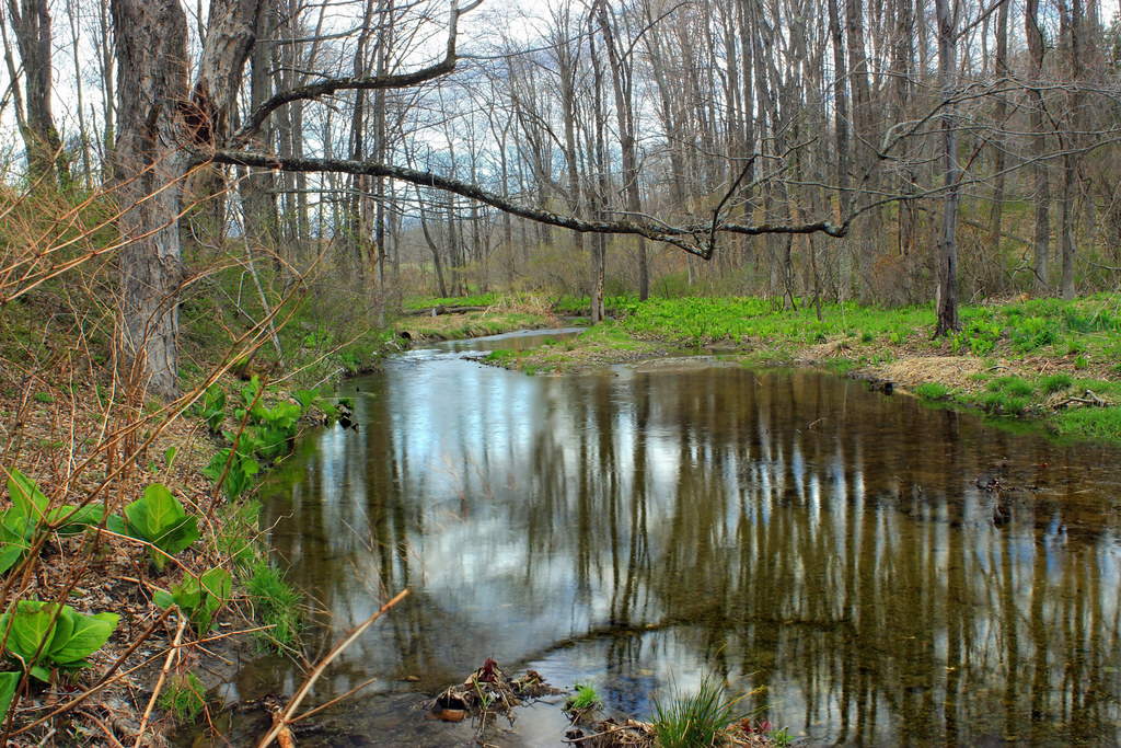 Honey Run Wildlife Management Area (Revisited) (4) Flickr