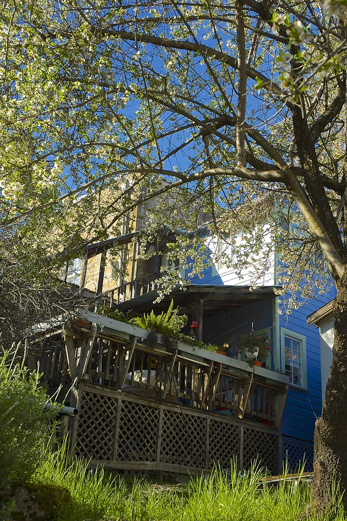 DSC_0072a26 A visit to Mokelumne Hill California in Calav… Flickr