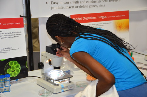 DSC_0173 Society of America booth, USA Science & … Flickr