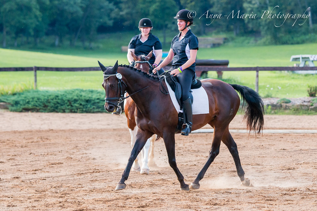 Otter Creek Dressage anyaotterson Flickr