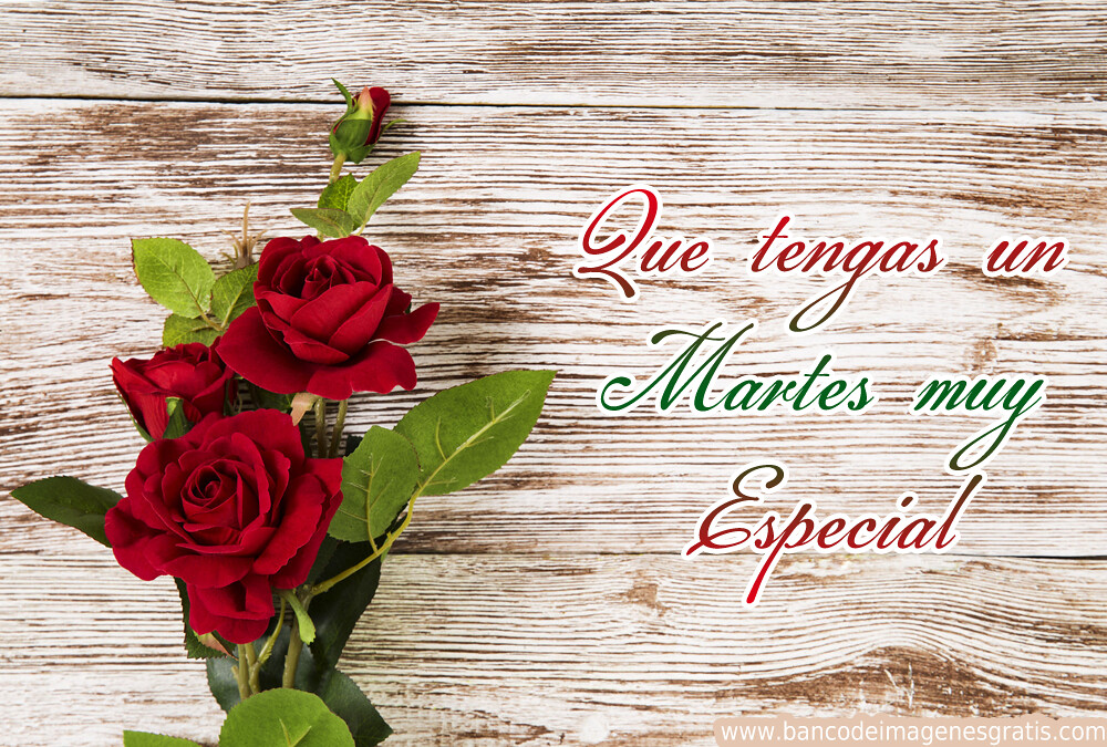 Feliz Martes 133 Imagenes Y Gifs Para Compartir Frases Y