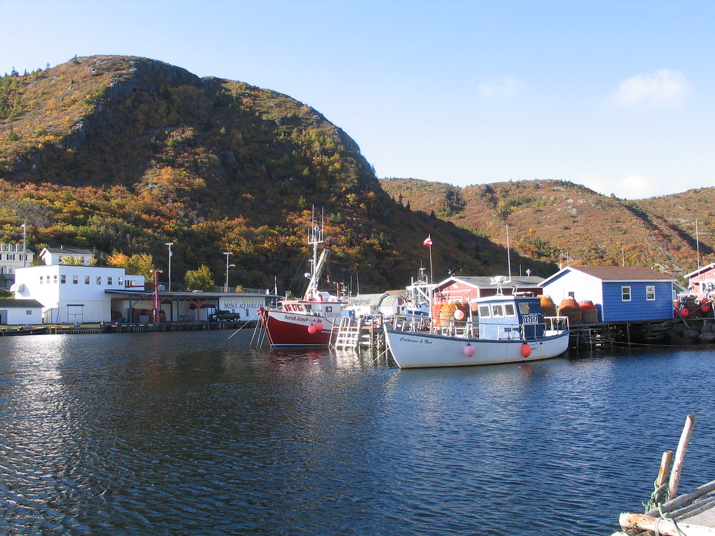 Petty Harbor, Newfoundland, October 2015 Pat Rooney Flickr