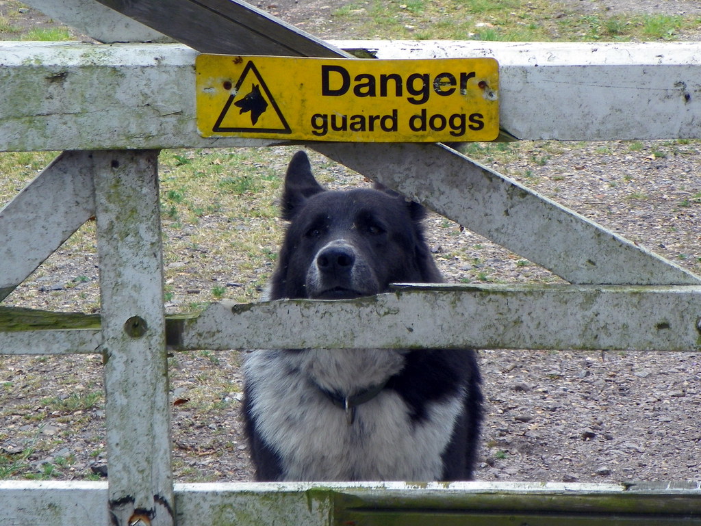GOC Rickmansworth & Harefield 130 Guard dog I found this … Flickr
