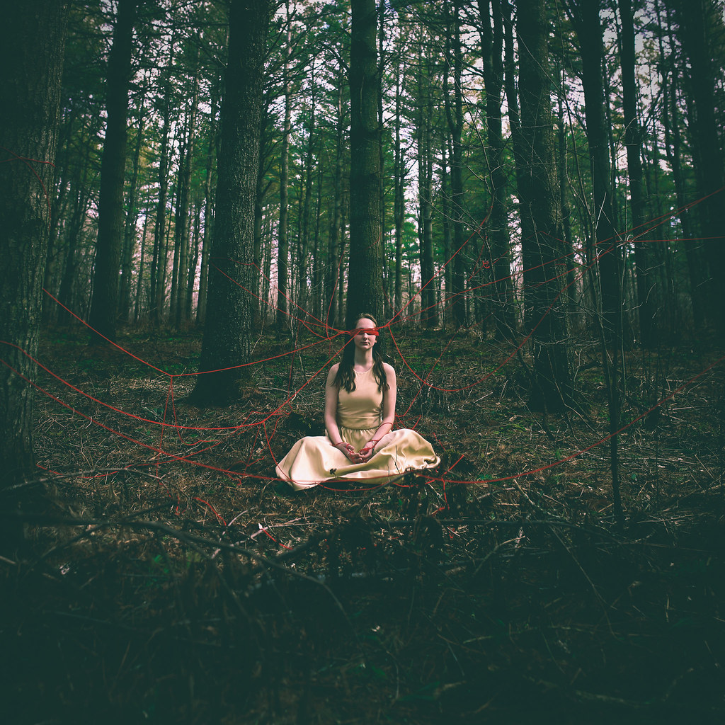 The Human Connection "Nature" Very proud to share the fi… Flickr
