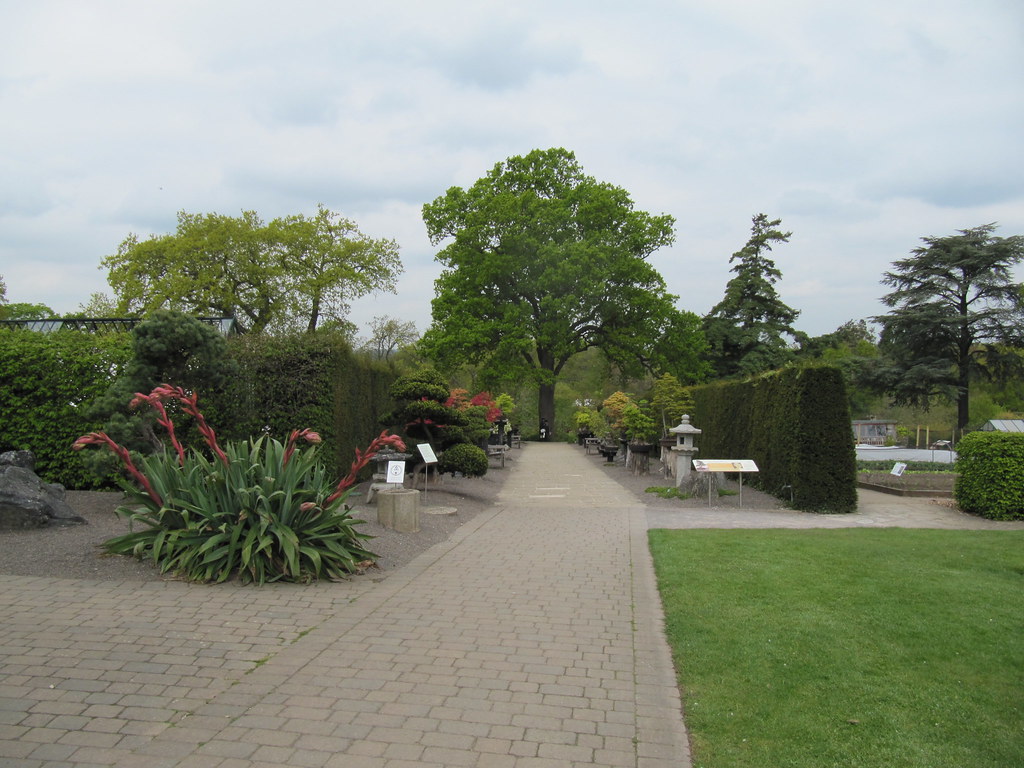 The Bonsai Walk at Wisley RHS Wisley Gardens near Ripley, … Flickr