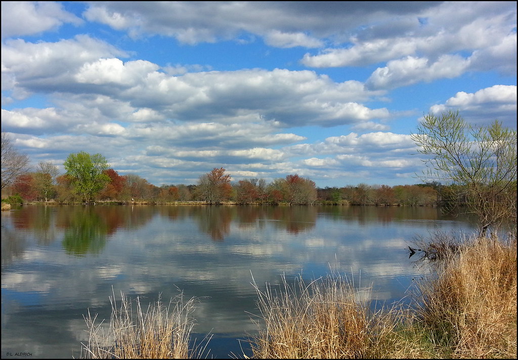 Spring Splendor Greenwich Lake Gibbstown, New Jersey dianealdrich