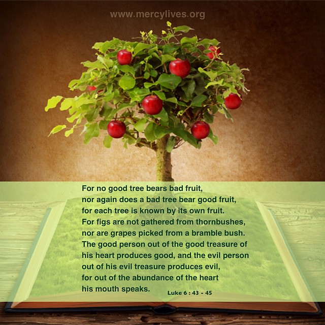 Fruit Trees Home Gardening Apple, Cherry, Pear, Plum Good Tree Good