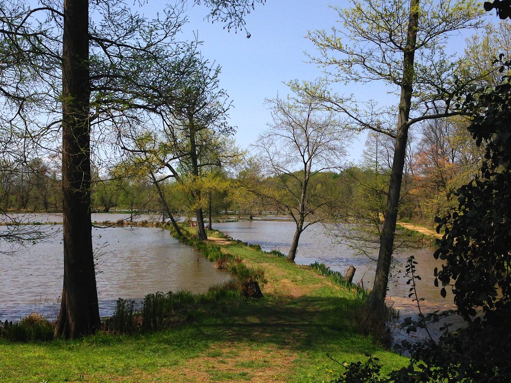 Aquatic Gardens Kenilworth Park and Aquatic Gardens Washin… Colton