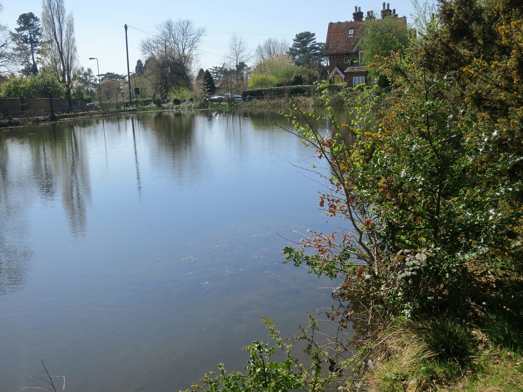 Stanmore Little Common 3 Laurie Lopes Flickr