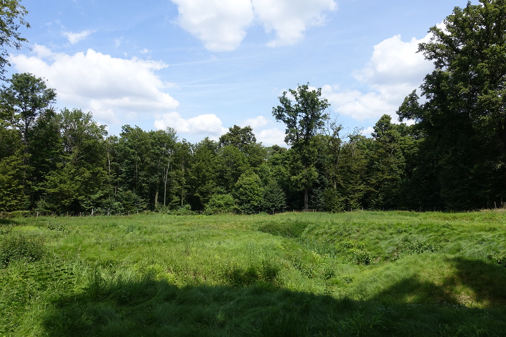 Domaine national de SaintCloud Guilhem Vellut Flickr