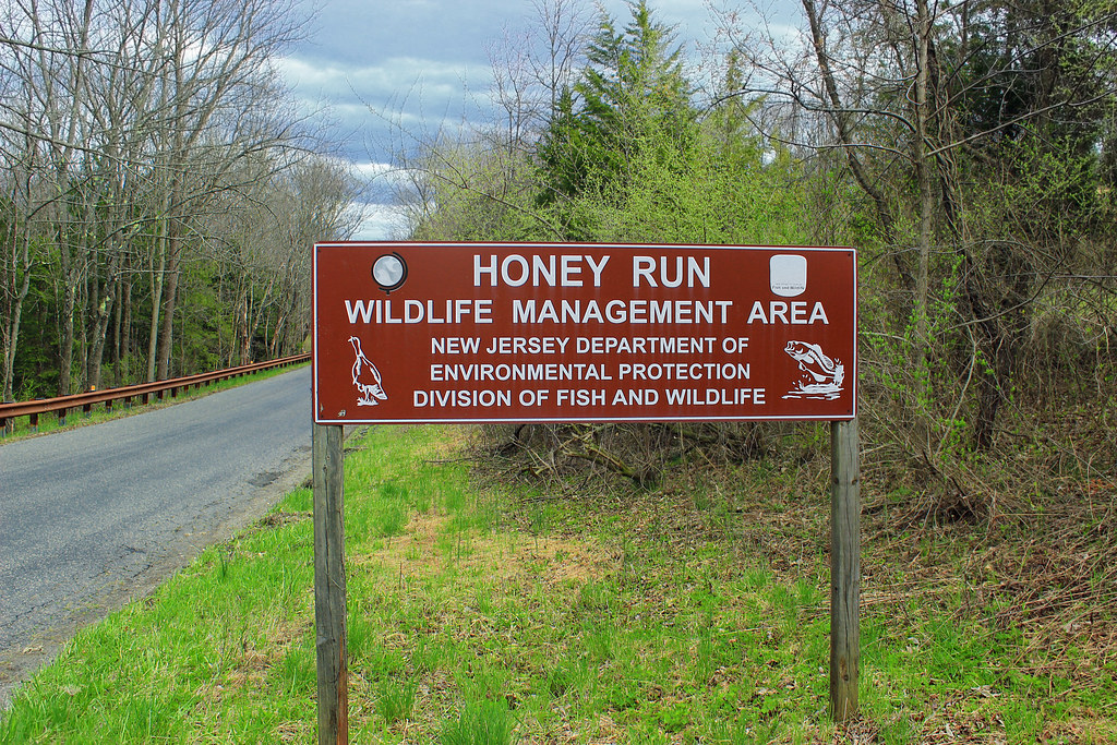 Honey Run Wildlife Management Area (Revisited) (3) Flickr