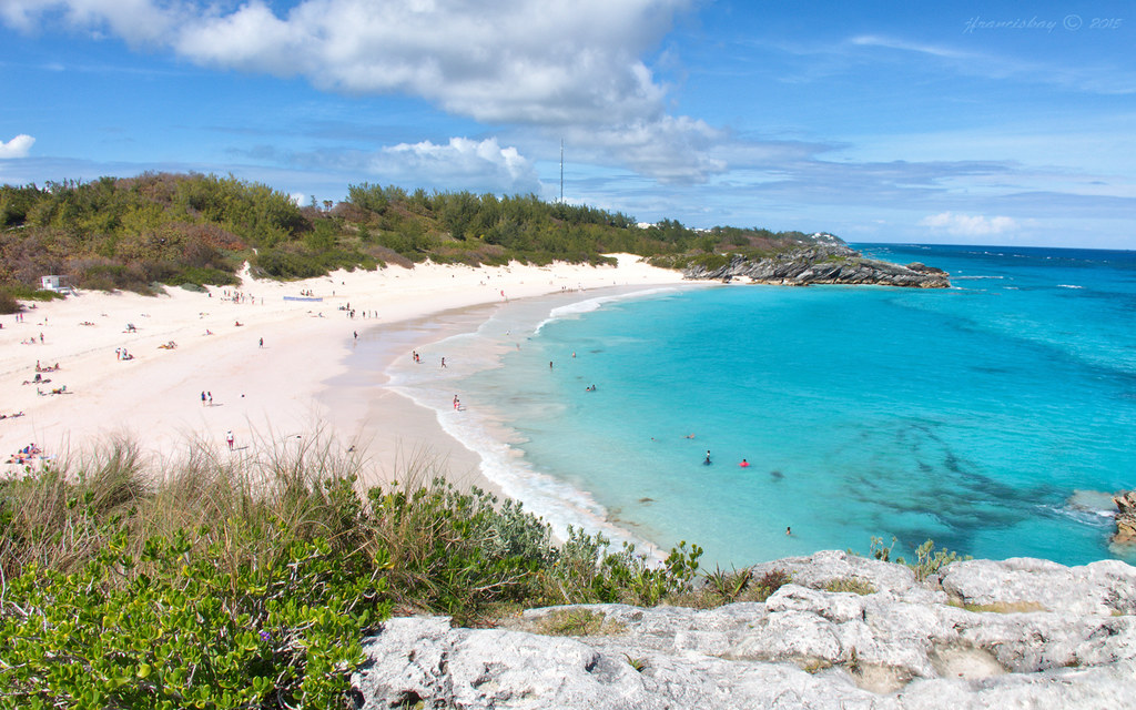 Horseshoe Beach Town Hall at Page Summers blog