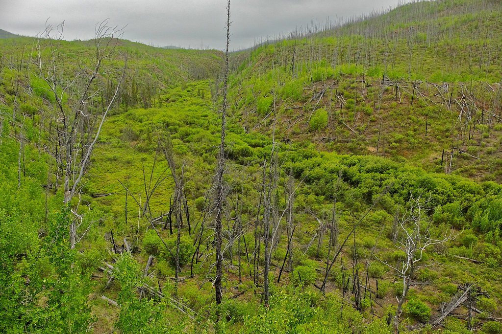 Little Fox Creek Valley on a Rainy Day Little Fox Creek Va… Flickr