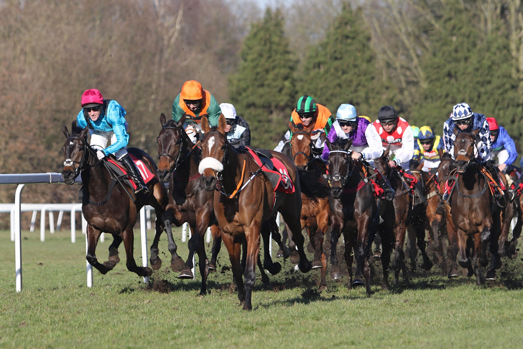 Mares' NH Flat Race Sandown Park, 7 March 2015. The EBF St… Flickr