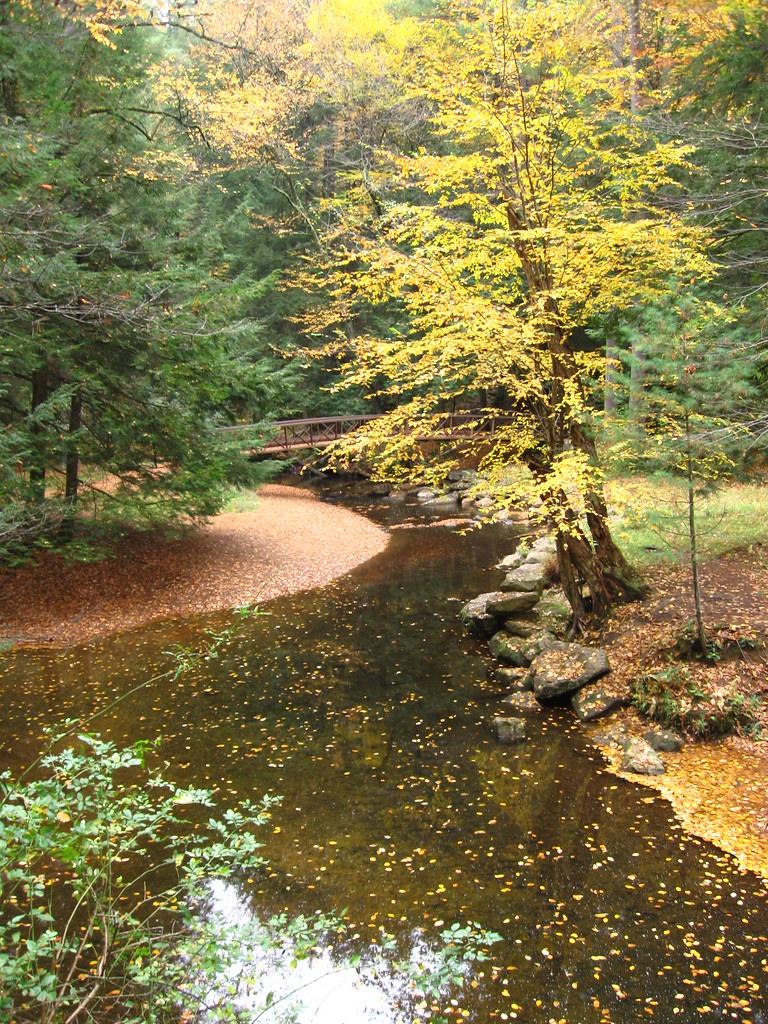 Tom's Run Cook Forest PA Lisa Meadville Flickr