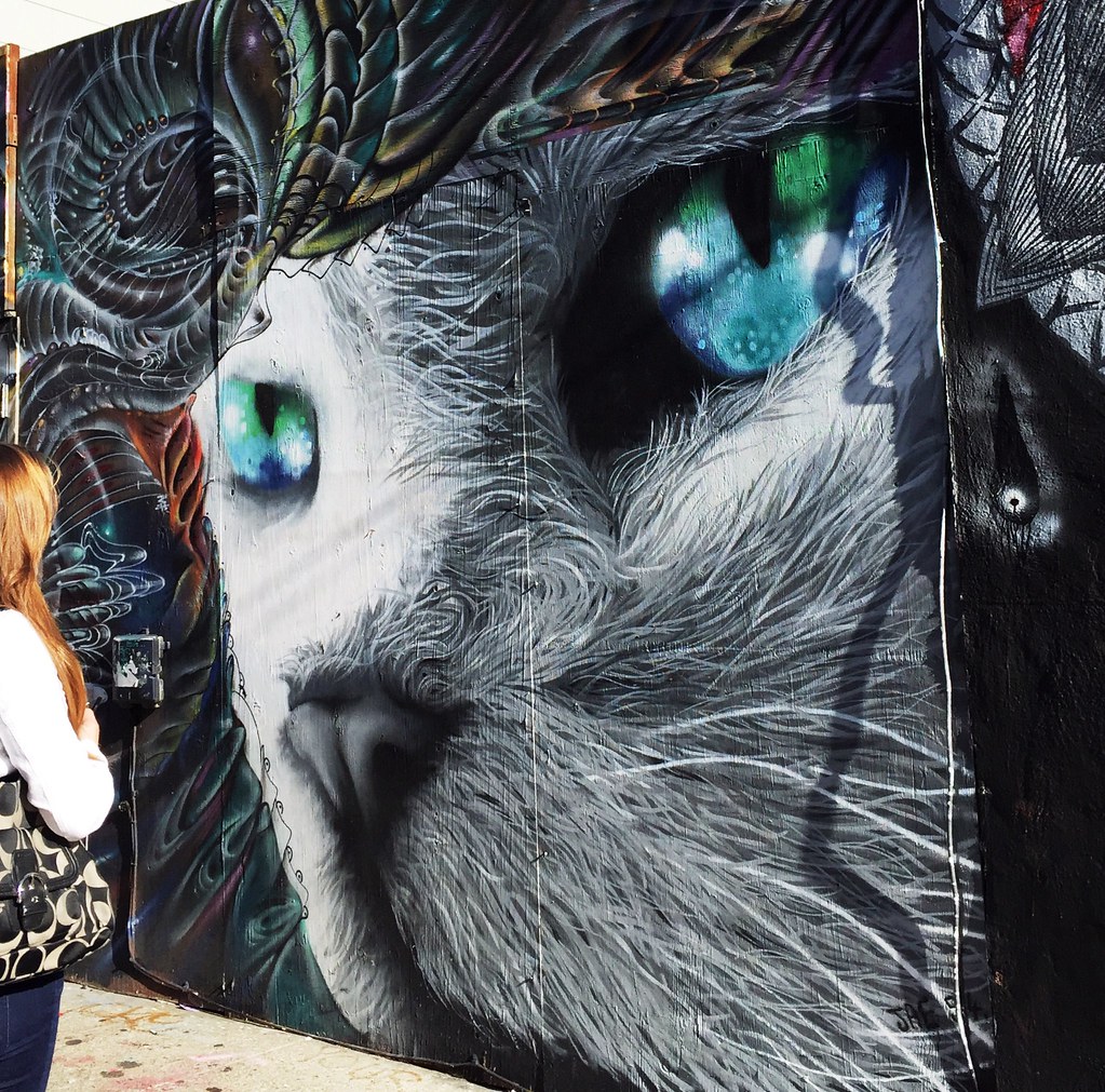 Cat Mural SF MISSION STREET SAN FRANCISCO This work (Cat M… Flickr