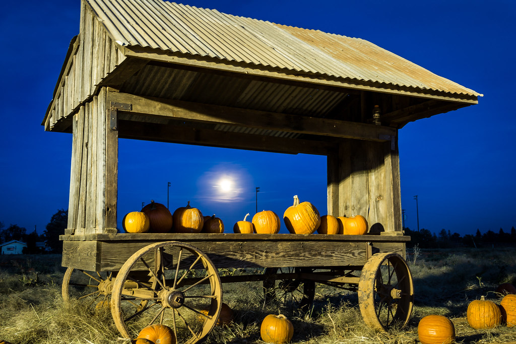 Pumpkin Cart at Pumpkin Farm Folks come from mile… Flickr