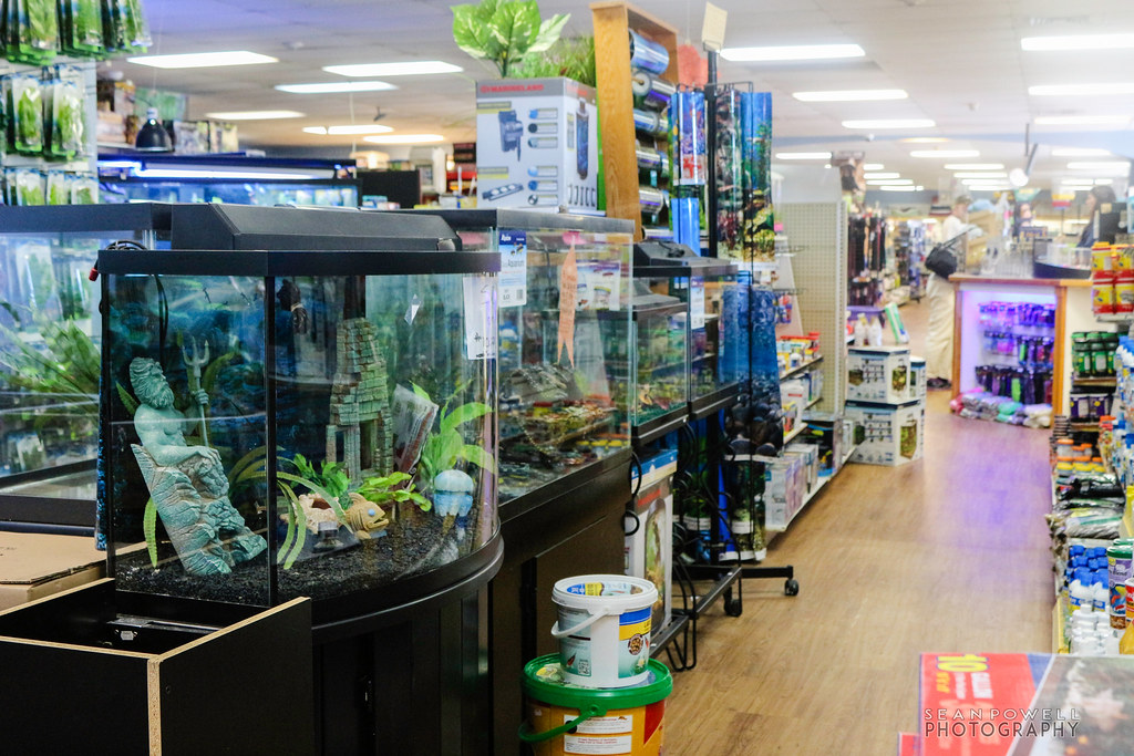 IMG_8329 Claremont Pet & Aquarium Center Lebanon Pet Flickr